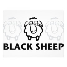 black sheep custom announcement