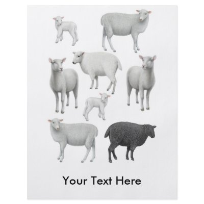 Black Sheep Flyer by twopurringcats