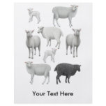 Black Sheep Flyer
