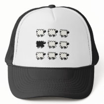 Black Sheep