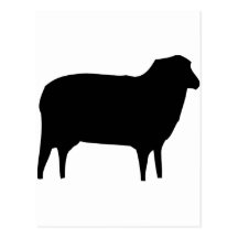black sheep icon post cards