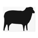 black sheep icon postcard