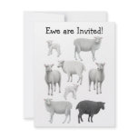 Black Sheep Invitation