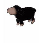 Black Sheep Ladies Basic T-Shirt