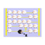 black sheep post card