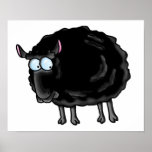 Black sheep