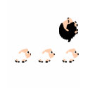 black sheep t-shirts