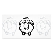 black sheep white sheeps photo cards