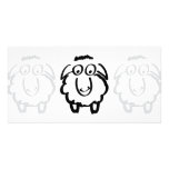black sheep white sheeps photo cards