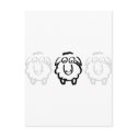 black sheep white sheeps postcards