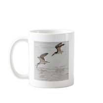 Black Skimmers Mugs