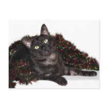 Black smoke cat Christmas Post Card