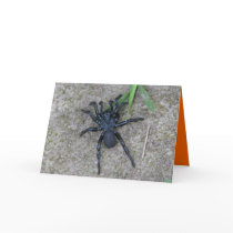 Black Spider Greeting Card
