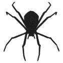Black Spider Halloween Goth Fantasy Design embroidered shirts