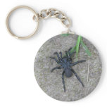 Black Spider keychains
