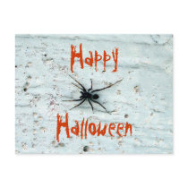 Black Spider Postcard