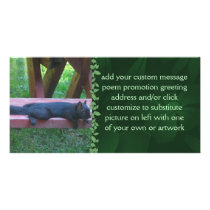 Black Squirrel Personalized Photo Card