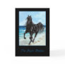 Black Stallion Arabian horse greeting card