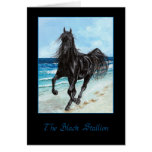 Black Stallion Arabian horse greeting card