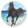 Black Stallion Arabian horse sticker