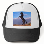 Black Stallion hats