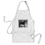 Black stallion horse aprons