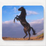 Black Stallion Mouse Pad