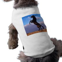 Black Stallion Pet Clothes