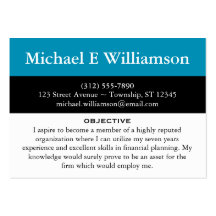 Black Stripe Blue RESUME Business Cards