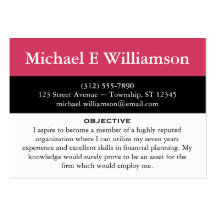 Black Stripe Dark Pink RESUME Business Cards