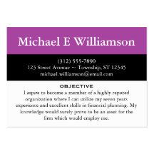 Black Stripe Purple RESUME Business Cards