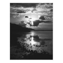 Black Sunset Postcard