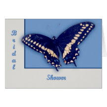 Black Swallow Longtail Cards