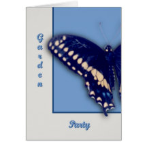 Black Swallow Longtail Cards