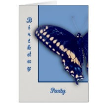 Black Swallow Longtail Greeting Card