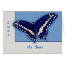 Black Swallow Longtail Greeting Card