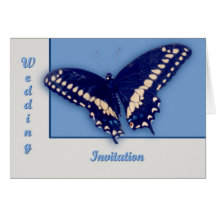 Black Swallow Longtail Greeting Card