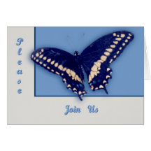 Black Swallow Longtail Greeting Cards