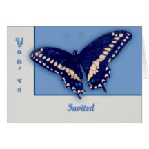 Black Swallow Longtail Greeting Cards