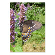 Black Swallowtail 63 ~ ATC Business Card Templates