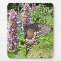 Black Swallowtail 63 ~ mousepad