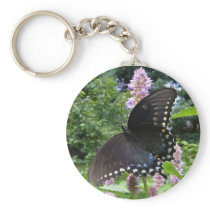 Black Swallowtail 69 ~ keychain