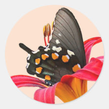 Black Swallowtail Butterfly, Red Lily Stickers