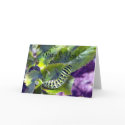 Black Swallowtail Caterpillar 2 Greeting Card
