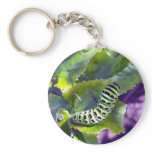 Black Swallowtail Caterpillar 2 Key Chain keychains