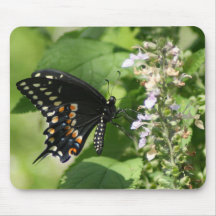 Black Swallowtail Mouse Pad