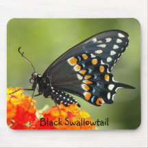 Black Swallowtail Mouse Pads