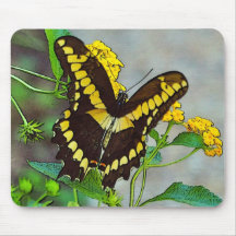 Black Swallowtail Mousepad