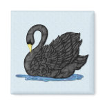 Black Swan Magnets