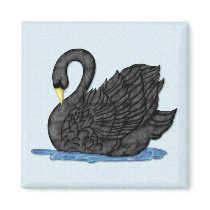 Black Swan Magnets